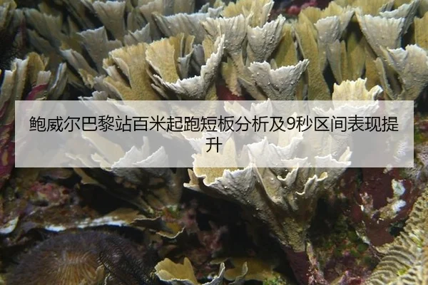 鲍威尔巴黎站百米起跑短板分析及9秒区间表现提升