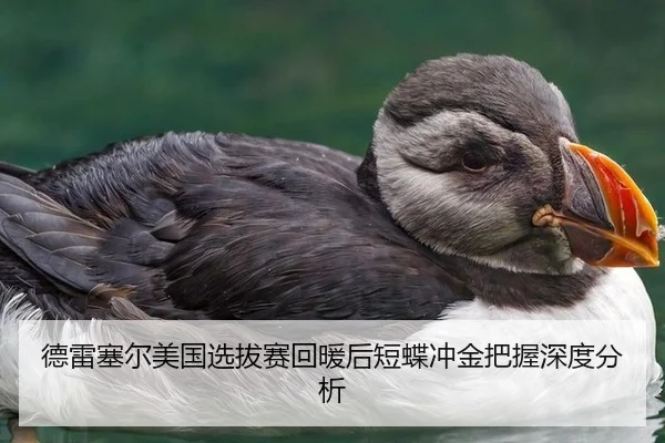 德雷塞尔美国选拔赛回暖后短蝶冲金把握深度分析