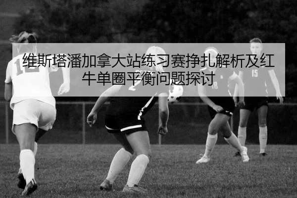 wei-si-ta-pan-jia-na-da-zhan-lian-xi-sai-zheng-zha-jie-xi-ji-hong-niu-dan-quan-ping-heng-wen-ti-tan-tao-2-537.jpg
